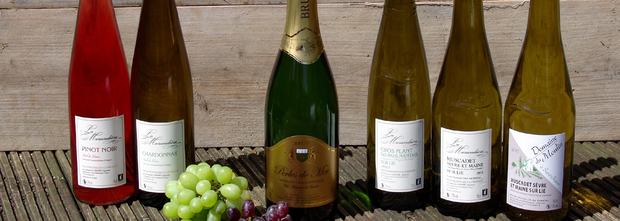 Domaine La Morandiëre