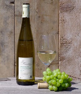 la morandiere muscadet sur lie