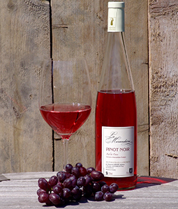 la morandiere rose
